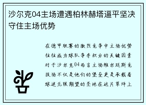 沙尔克04主场遭遇柏林赫塔逼平坚决守住主场优势